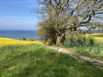 Holiday house Maison des Petites Bruyères - Outdoor photo 33