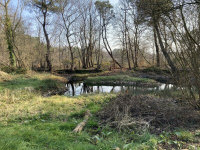 Holiday house Maison des Petites Bruyères - Outdoor photo 34