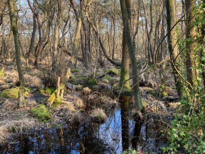 Holiday house Maison des Petites Bruyères - Outdoor photo 48