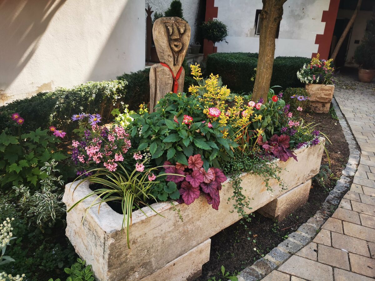 Cottage RefuKium "alte Kutscherei" - Outdoor photo 3