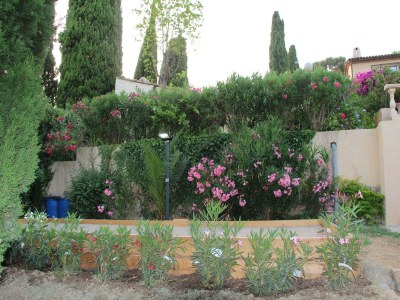 Villa Villa mit Meerblick und Pool - Outdoor photo 38