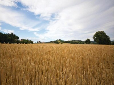 Holiday house Charmantes Haus in Umbrien mit Pool - Environment photo 32