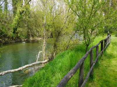 Holiday house Monte House Umbria with Pool and Garden - Environment photo 30