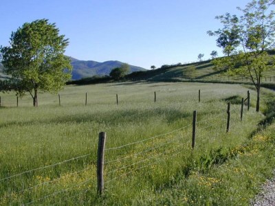 Holiday house Monte House Umbria with Pool and Garden - Environment photo 35