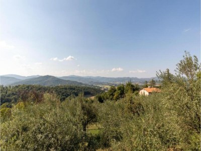 Holiday house Monte House Umbria with Pool and Garden - Environment photo 37