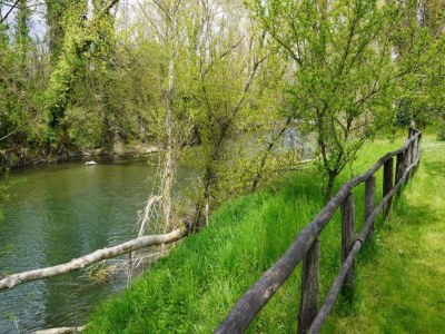 Holiday house Tower House in Umbria with Pool and Garden - Environment photo 35