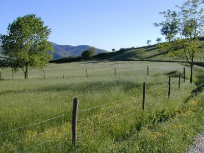 Holiday house Charmantes Haus in Toskana mit Pool - Environment photo 27