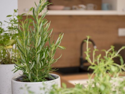 Holiday apartment Sirius - Features photo 12