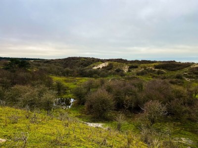 Holiday house OK43 Holiday Home FeWo Oosterpark - Environment photo 29