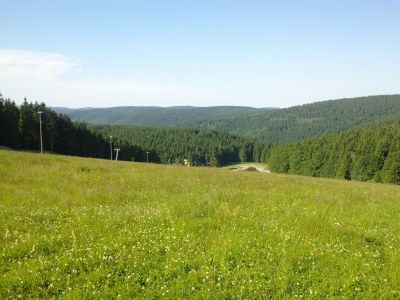 Holiday house Wellnesshaus mit Garten - Environment photo 17