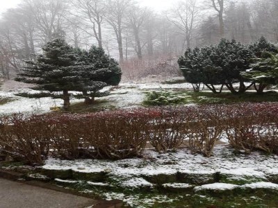 Holiday house Wellnesshaus mit Garten - Environment photo 23