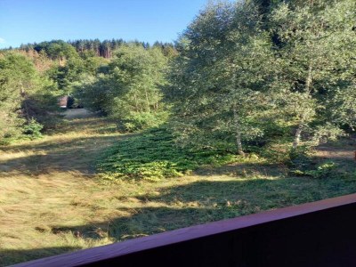 Holiday house Wellnesshaus mit Garten - Environment photo 28