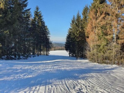 Holiday house Wellnesshaus mit Garten - Environment photo 30