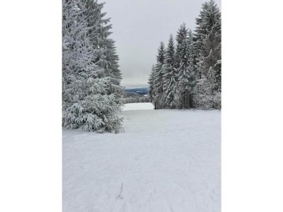 Holiday house Wellnesshaus mit Garten - Environment photo 33