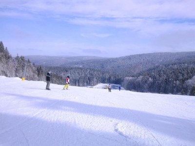 Holiday house Wellnesshaus mit Garten - Environment photo 38