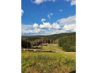 Holiday house Wellnesshaus mit Garten - Environment photo 40