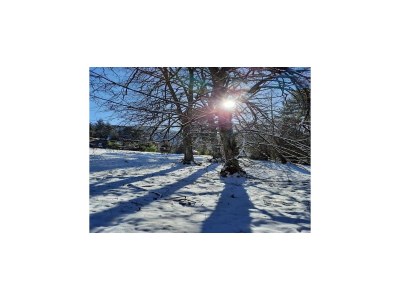 Holiday house Haus in Vosges nahe Wald und Wanderwegen - Environment photo 29