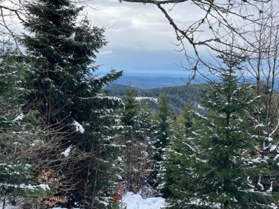 Holiday house Haus in Vosges nahe Wald und Wanderwegen - Environment photo 36