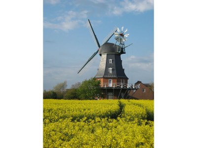 Holiday apartment Schuylenburg - Environment photo 17