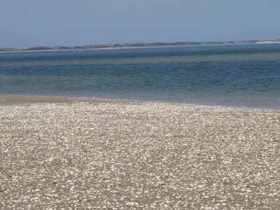 Holiday apartment Schuylenburg - Environment photo 22