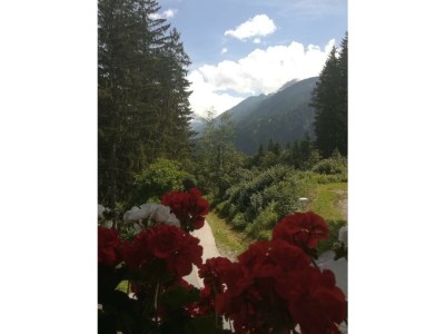 Apartment Apartment Grünberg in Finkenberg - Apartment