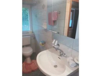 Apartment Apartment Grünberg - Features photo 12