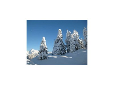 Apartment Apartment Grünberg - Outdoor photo 12