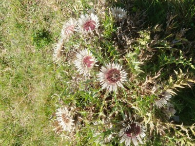 Apartment Apartment Grünberg - Outdoor photo 22