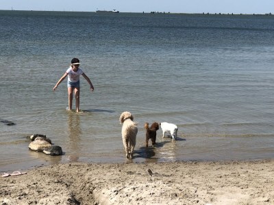 Holiday house Brekkense Wiel 173 - Environment photo 31