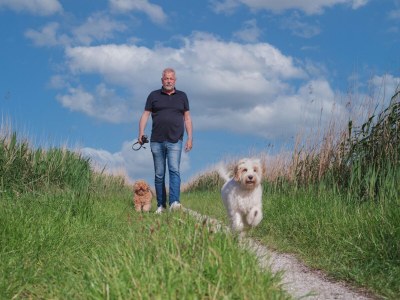 Holiday house Brekkense Wiel 173 - Environment photo 35