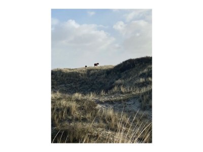 Holiday apartment Maan - Environment photo 21