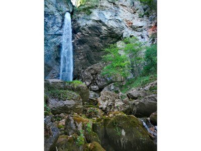 Holiday house Seechalet Linsendorf - Environment photo 18