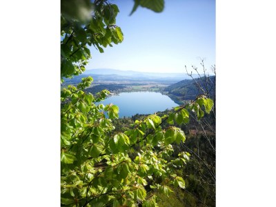 Holiday house Seechalet Linsendorf - Environment photo 19