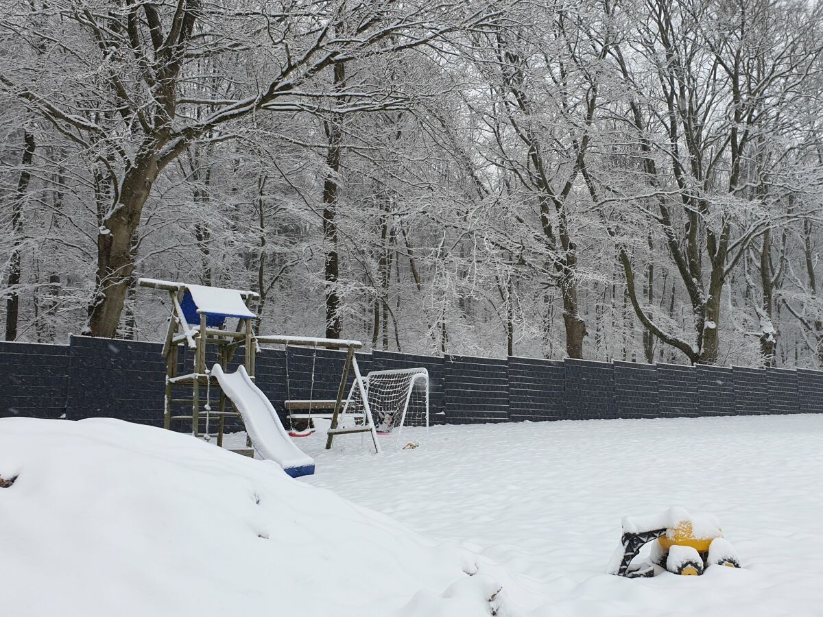 Holiday apartment Apt. Autumn in Villa Waldrand - Outdoor photo 5
