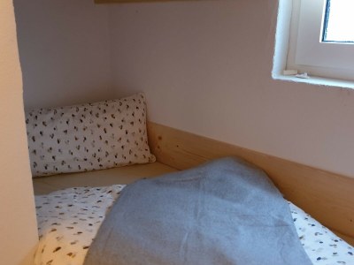 Holiday apartment Apt. Autumn in Villa Waldrand - Features photo 14