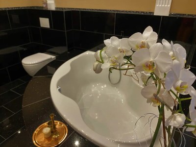 Holiday apartment Apt. Autumn in Villa Waldrand - Features photo 15