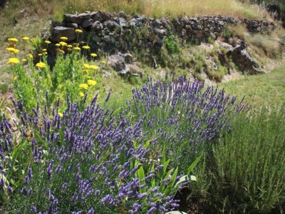Villa Elegant Villa in Sainte Valière - Environment photo 37