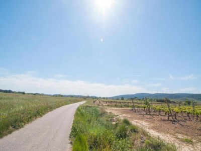 Villa Elegant Villa in Sainte Valière - Environment photo 39