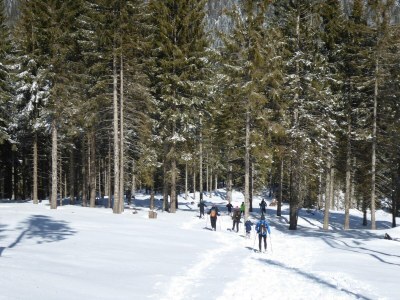 Apartment Wohnung in Cavalese mit Dolomitenblick - Environment photo 23