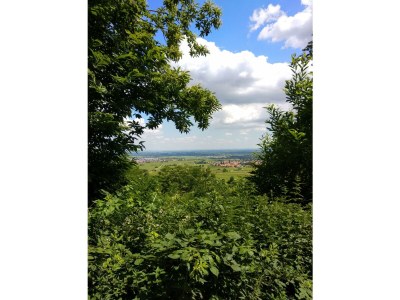 Apartment Appartement/Fewo, Dusche oder Bad, WC, 2 Schlafrau - Outdoor photo 9