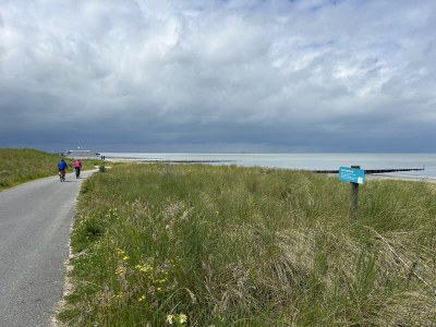 Apartment Faro Greenpark - Environment photo 37