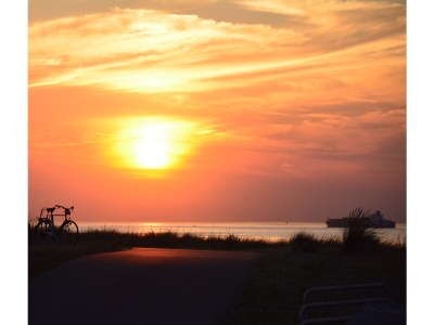 Apartment Faro Greenpark - Environment photo 30