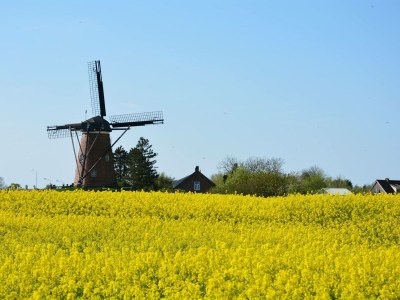 Bungalow Park Welgelegen MB 65 - Environment photo 15