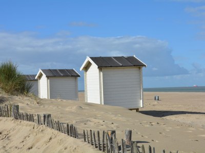 Bungalow Park Welgelegen MB 55 - Environment photo 16