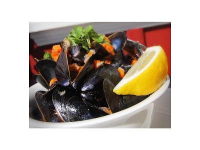 Bungalow Park Welgelegen MB 55 - Environment photo 19