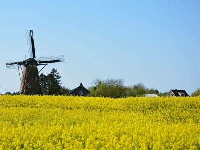 Bungalow Park Welgelegen MB 55 - Environment photo 21