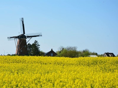 Bungalow Park Welgelegen MB 09 - Environment photo 25