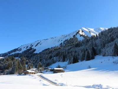 Apartment Appartement "9" - Wohn-Schlafraum, Dusche, WC - Features photo 32