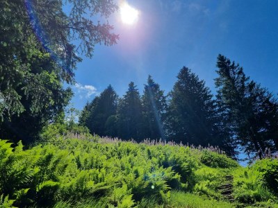 Apartment Appartement "1" - 2 Schlafräume, Dusche, WC - Outdoor photo 8