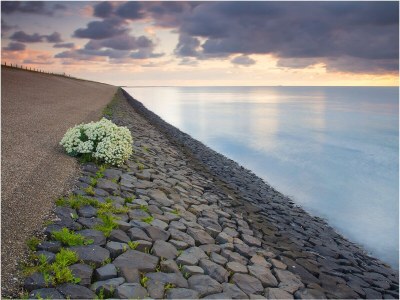 Bungalow Koningsweg 13 - Environment photo 13